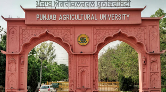 PAU Ludhiana