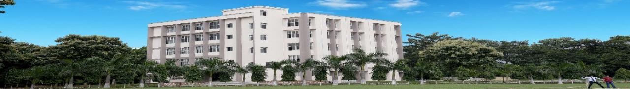 Sarala Birla University