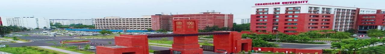 Chandigarh University Online
