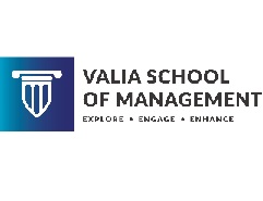 VSM Institute logo