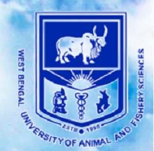 WBUAFS logo