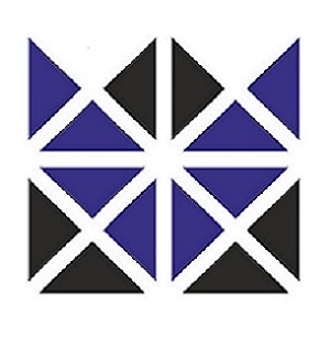 DGMC logo