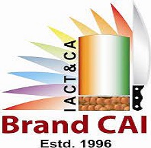 CAI logo