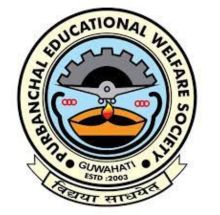 PEWS Group of Institutions logo