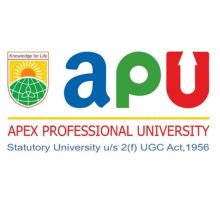 Apex Professional University